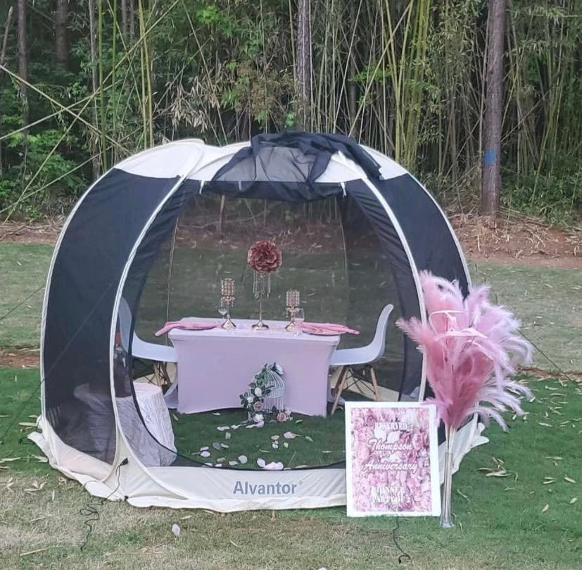 Lovely Set Up